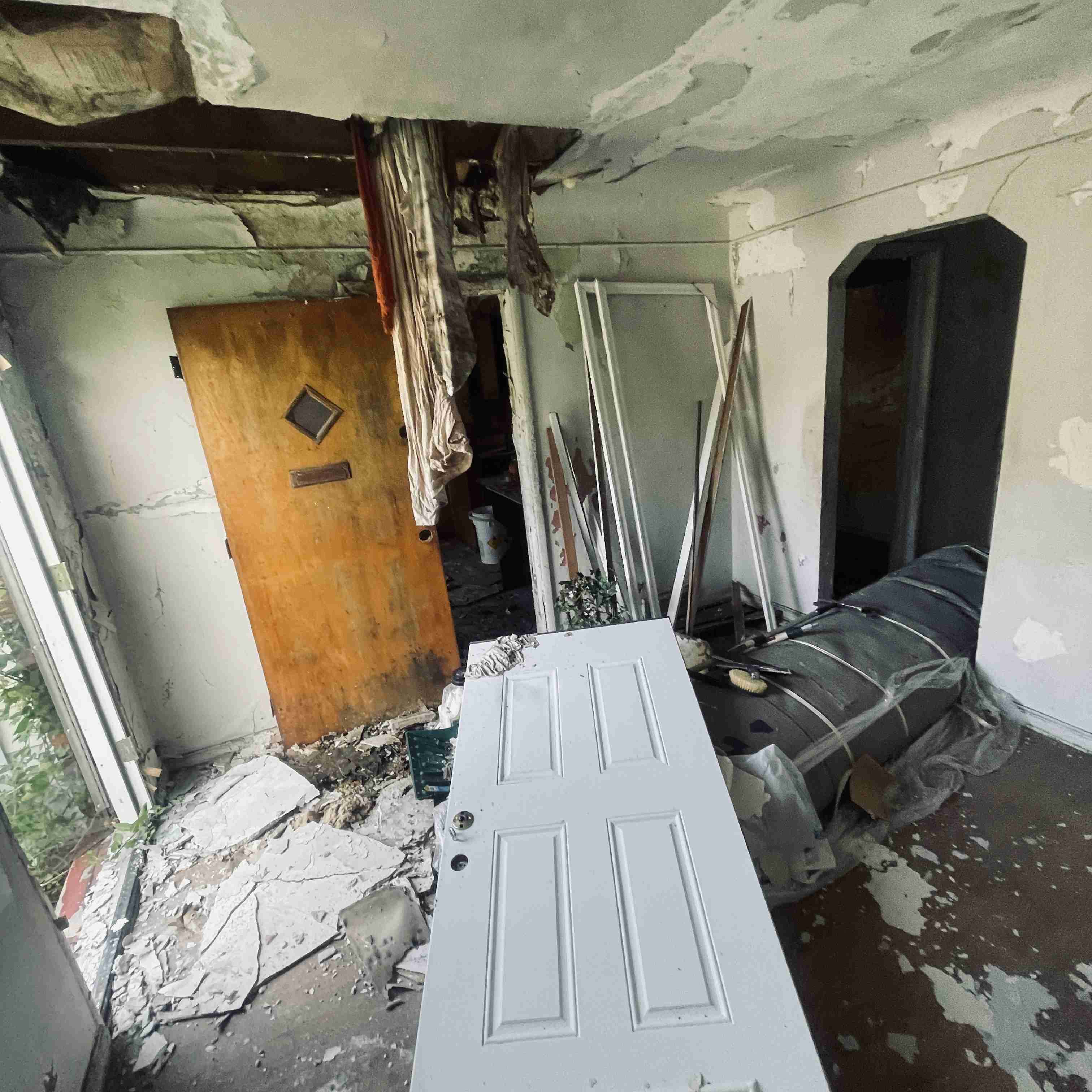 4277 TUXEDO (28).jpg